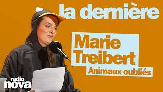 Animaux oubliés - La chronique de Marie Treibert dans La dernière