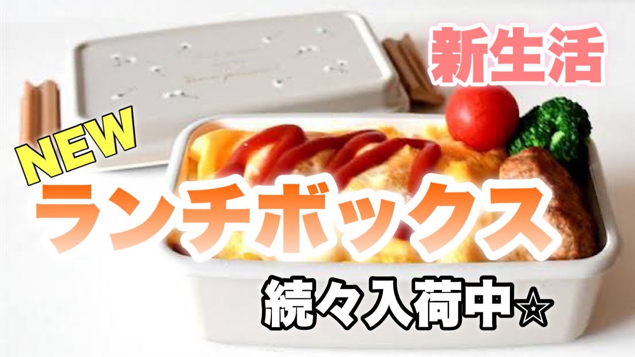 2024最新】今が買い時【ランチボックス】雑貨屋バイヤーがご紹介します