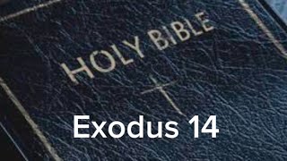 Exodus 14 NIV The Bible