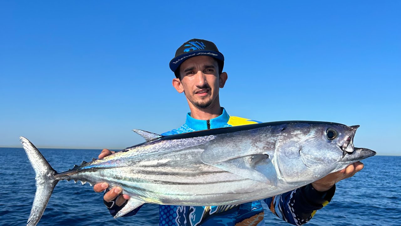 Dev Çizgili Orkinos Avı !! / Kıyıdan 15 Kilometre Açıkta Orkinos Sürüsü Etrafımızı Sardı !