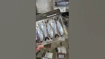 Realistic Shad Baits Bassfishing Fishing Fish Fishingtips 