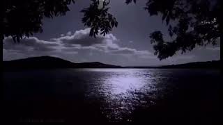 Gum Sum Sahe Ab Chup Hai Madhu Hosiya Hindi 