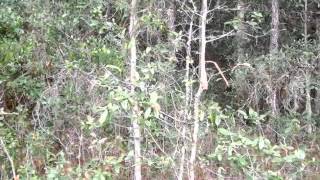 34330 Berryhill Dr video tour
