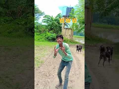 😈top ke gola #bihar #shorts #dance #youtubeshorts