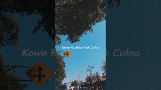 Download Lagu story wa lagu sampek tuek MP3