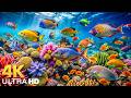 Incredible Aquarium 4K ULTRA HD | Dive Deep &amp; Explore the Ocean's Hidden World - Dream Life #7
