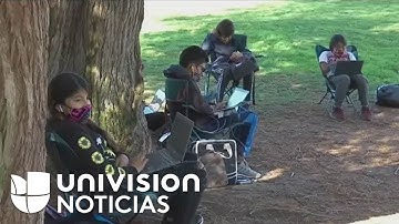 Cansadas del encierro, varias madres adaptan un parque como salón de clases para sus hijos