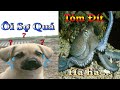 Dương KC | Bông Bé Bỏng Ham Ăn #4 | chó thông minh đáng yêu| cute smart dog pet | Thú Cưng TV