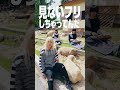 世の中気になることばかり#気になっちゃう #夕方と猫 #newmusic #邦ロック