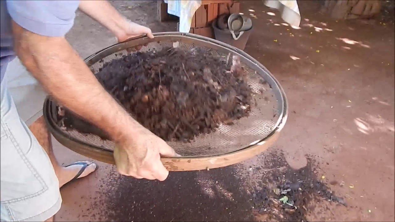 #compostagem de folhas do quintal