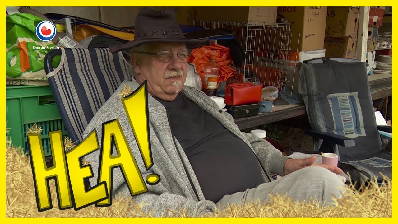 Caravan in kletsnat Appelscha | HEA!