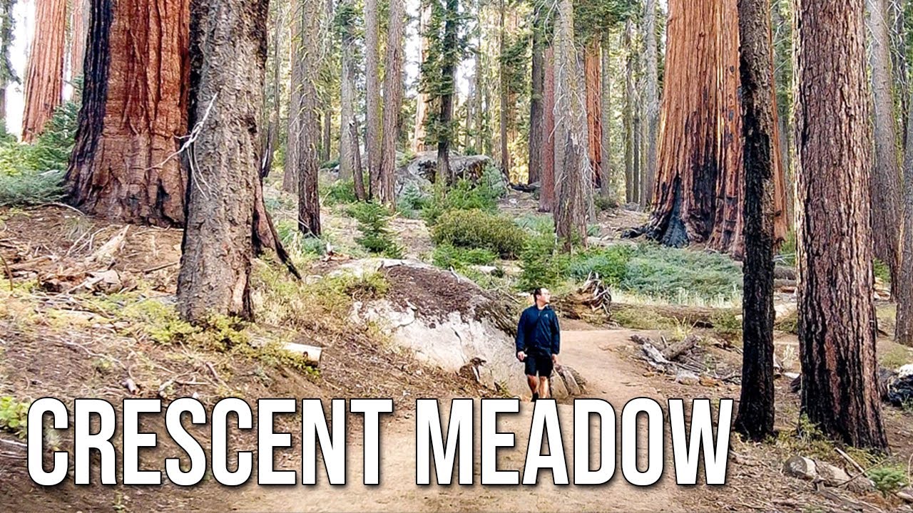 Crescent Meadow hike in Sequoia National Park