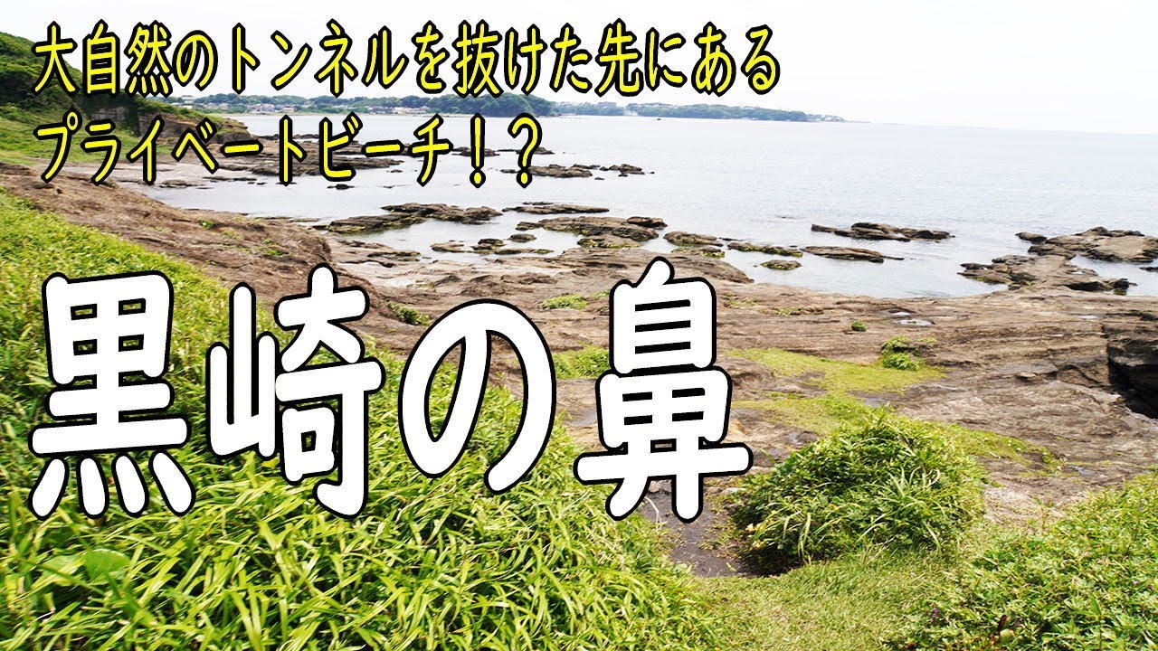 2024年6月の「黒崎の鼻」（神奈川県三浦市）
