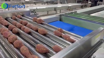 Sweet potato sorting machine potato processing line vegetable size grading equipment fstsort machine