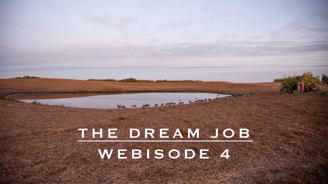 The Dream Job isode 4 Combo Limits of Geese and Ducks YouTube