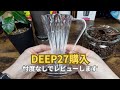【コーヒー抽出】DEEP27を購入したのでレビューします【フラワードリッパー, CAFEC, 三洋産業】
