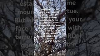 #psalm 30,7:9 #biblia #love of God