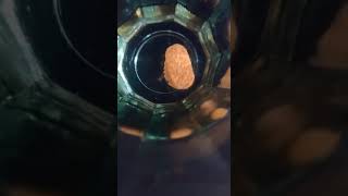 ذوبان قرص مغلف في الماء (فيديو مسرع) 