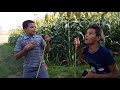 احنا شباب الصعايده 7