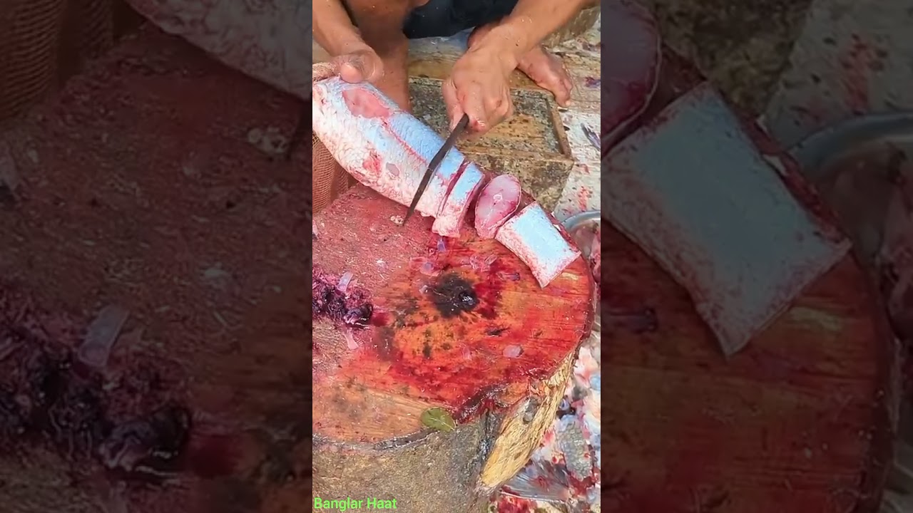 Wonderful World Best Butcher Skills, Amazing Fastest Big Catla Fish Cutting & Chopping 