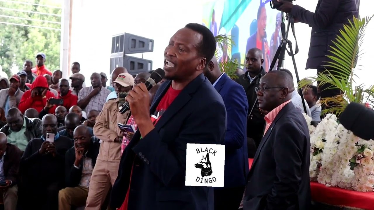  SENATOR ONYONKA ON RUTO'S NECK.. NYAMIRA 3 BY-ELECTIONS ,UDA MPs, MATIANGI ,GUSII TOGETHERNESS 