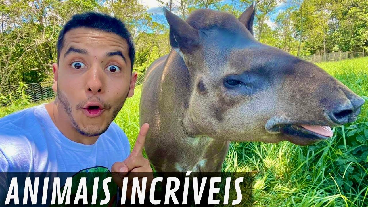 Conhecendo a Fazenda Serra Azul Muitos Animais Raros Anta  GNU | Cervo-Rusa | Aves Recriar