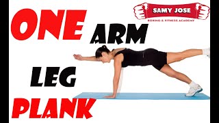 ALTERNATE TWO POINT PLANK