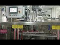 LTS-130DC Horizontal Automatic Packaging System