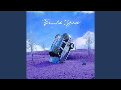 cakal - Promilim Yüksek