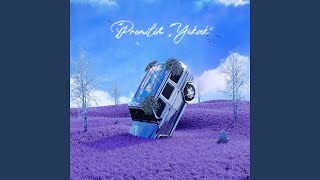 Promilim Yüksek - cakal
