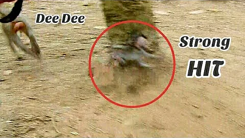 Extremely Hurt! Strong Hit!! Dee Dee Drag new monk...