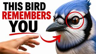 The bird that has been watching you for weeks — and it remembers everything