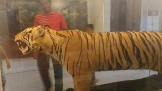 Studi Wisata Sdn 1 Calang 2019