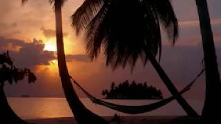 Watch Fee Waybill Caribbean Sunsets video