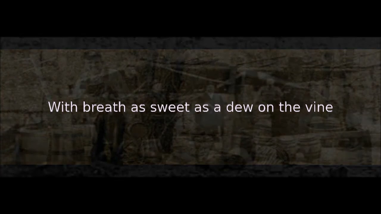 karaoke - Moonshiner - Uncle Tupelo