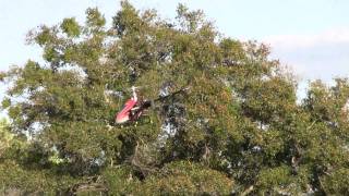 Flying My Beam E4 in HD Test 1