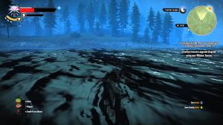 The Witcher 3 Act 2 - Wolven Steel Sword Enhanced, Enhanced Wolven Trousers