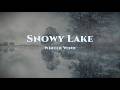 Snowy Winter Lake Ambience ❄️ Wind, Snowfall &amp; Frozen Nature Sounds (Relax / Sleep / Study)