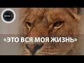 Мариупольский зоопарк | Ситуация критическая | Животные в Парке дикой природы на грани выживания