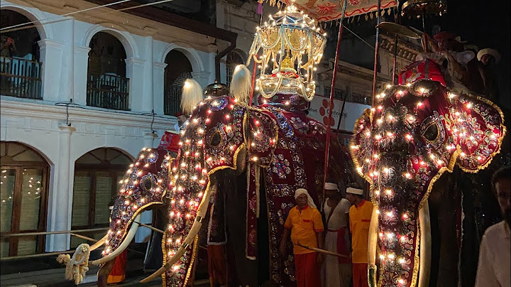 Kandy Esala Perahera 2023 කන්ද උඩරට ඇසළ පෙරහර 2023 | අවසන් මහ රන්දෝලි පෙරහර 🙏