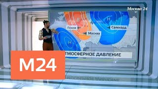 "Климат-контроль": какая погода ждет москвичей в ближайшее время - Москва 24 "Климат-контроль": какая погода ждет москвичей в ближайшее время - Москва 24