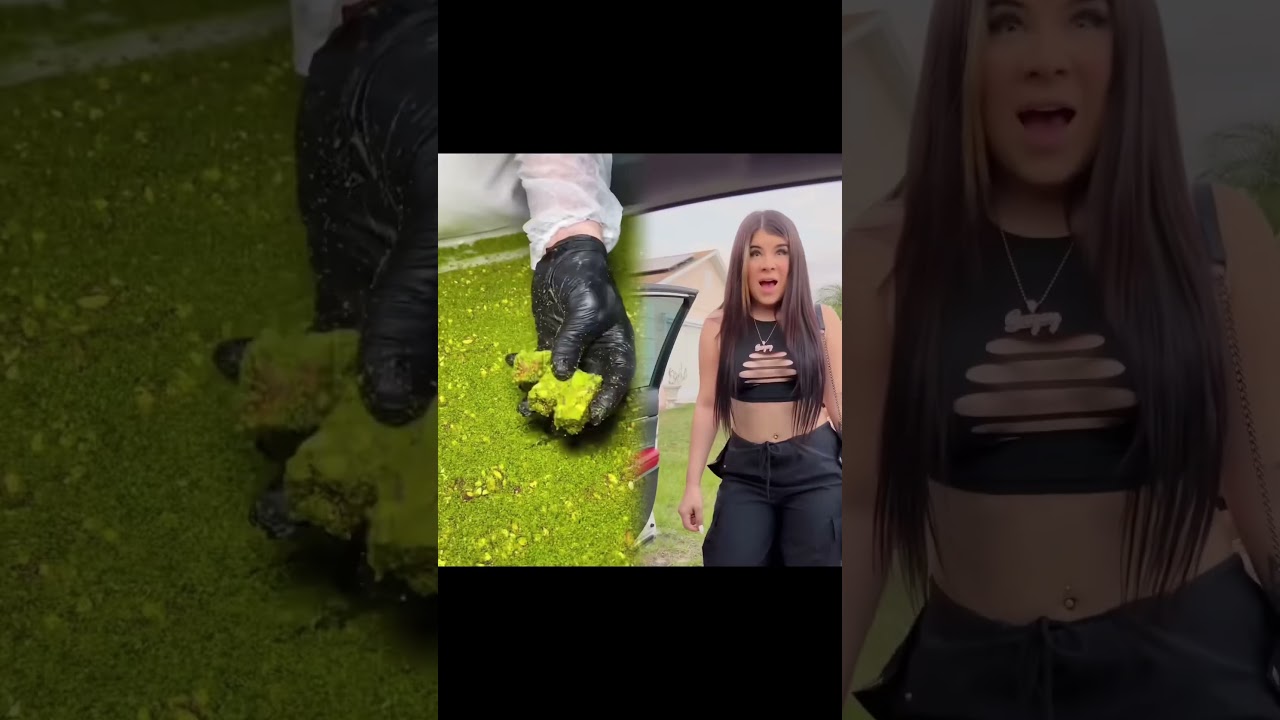 Lealtad ante todo 👌🏼