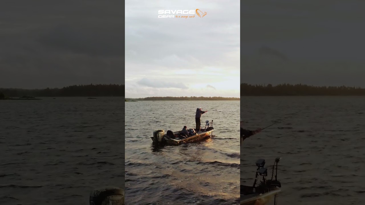 The Beast Beneath - Stay Tuned 