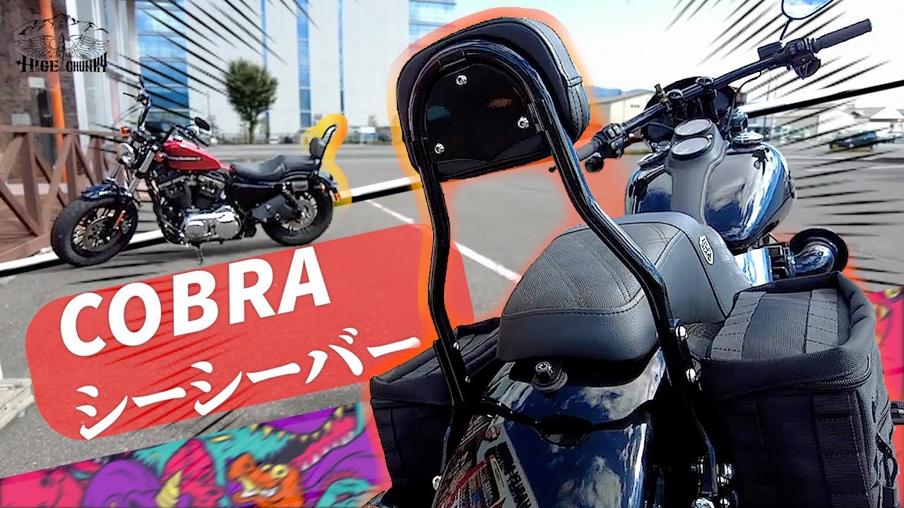 ハーレーでキャンプへ行けるように!」シーシーバー取り付け ハーレーでキャンプへ行けるように!」シーシーバー取り付け