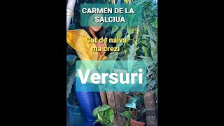 CARMEN DE LA SALCIUA - Cat de naiva ma crezi (VERSURI) 2020