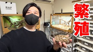 The creature that has been in the making since December is finally