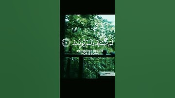 سورة الإخلاص | تلاوة عطرة