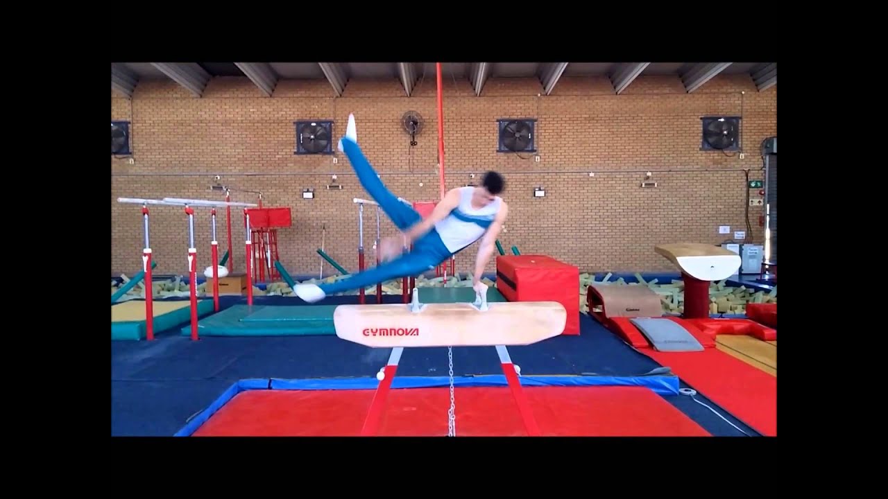 Age Group Programme Men's Artistic Technical Ability Testing Pommel