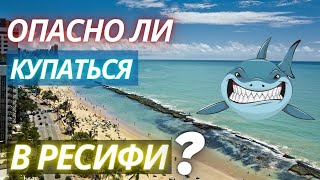 Самый опасный пляж в Бразилии: как избежать нападения акул?