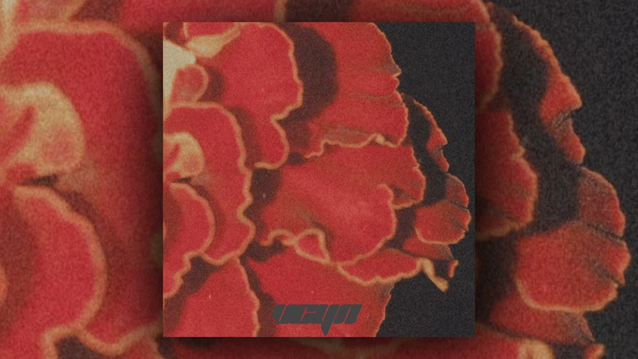 [FREE] REGGAETON LOOP KIT - SATIVA (Mora, Omar Courtz, De La Rose, Bad Bunny, Jhayco)